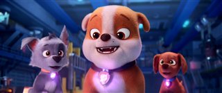 PAW PATROL THE MIGHTY MOVIE Clip Pups Get Their Powers Trailers