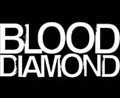 Blood Diamond Photo 21 - Large