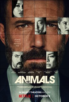 Animals Photo 8