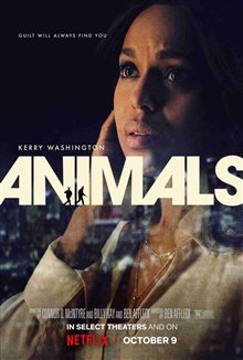 Animals Photo 10