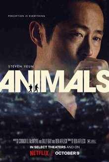 Animals Photo 12