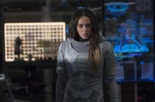 Ant-Man and The Wasp Photo 20