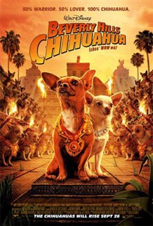 Beverly Hills Chihuahua Photo 15 - Large
