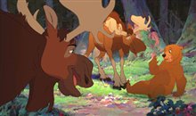 Brother Bear Photo 2 - Large