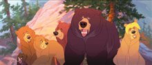 Brother Bear Photo 4 - Large