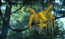 Cirque Du Soleil: Journey Of Man In Imax 3D Photo 10 - Large
