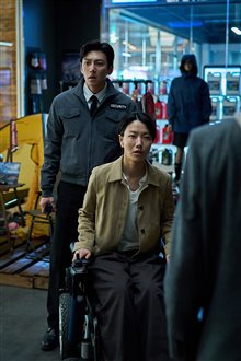 Colony Photo 11