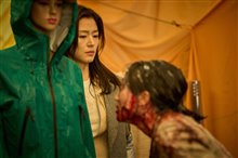 Colony Photo 8