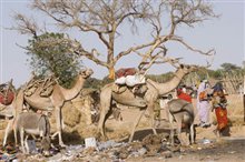 Darfur Now Photo 15