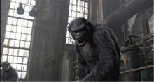Dawn of the Planet of the Apes Photo 8