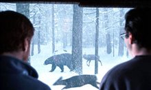 Dreamcatcher Photo 12