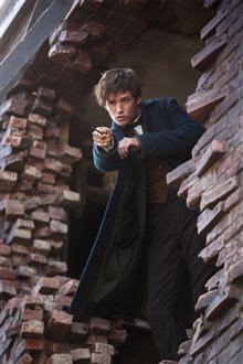 Fantastic Beasts and Where to Find Them Photo 59