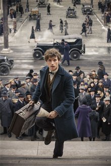 Fantastic Beasts and Where to Find Them Photo 60