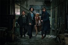 Fantastic Beasts and Where to Find Them Photo 23