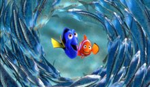 Finding Nemo Photo 4 - Large