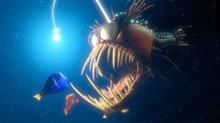 Finding Nemo Photo 6 - Large