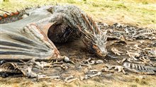 Game of Thrones: The Complete Fifth Season Photo 4