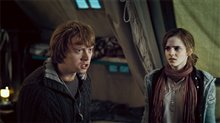 Harry Potter and the Deathly Hallows: Part 1 Photo 20