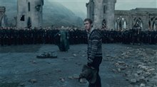 Harry Potter and the Deathly Hallows: Part 2 Photo 49