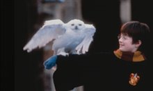Harry Potter and the Philosopher's Stone Photo 4