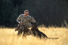 Heart of the Beast Photo 5