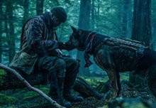 Heart of the Beast Photo 11