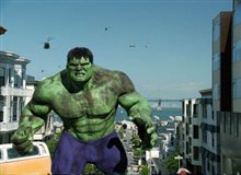 Hulk Photo 8 - Large