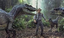 Jurassic Park III Photo 4