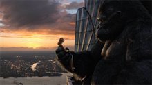 King Kong Photo 24
