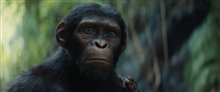 Kingdom of the Planet of the Apes Photo 1