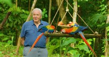 Life in Color with David Attenborough (Netflix) Photo 1
