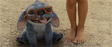 Lilo & Stitch Photo 7