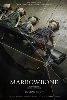 Marrowbone Photo 4