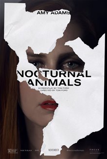 Nocturnal Animals Photo 4