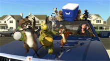Over the Hedge Photo 8