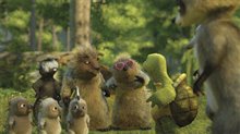 Over the Hedge Photo 10