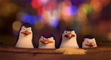 Penguins of Madagascar Photo 1