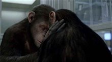 Rise of the Planet of the Apes Photo 5