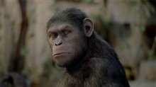 Rise of the Planet of the Apes Photo 13