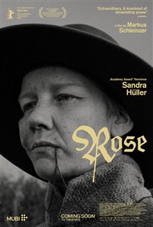 Rose Photo 4