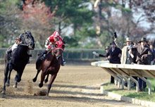 Seabiscuit Photo 3 - Large
