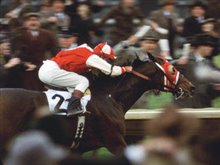 Seabiscuit Photo 7 - Large