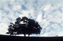 Sense and Sensibility Photo 27