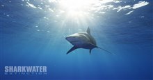 Sharkwater Extinction Photo 12