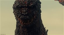 Shin Godzilla 4K Photo 6