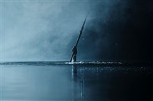 Gallery Picture