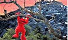 The Adventures Of Elmo In Grouchland Photo 6 - Large