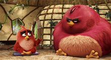 The Angry Birds Movie Photo 26