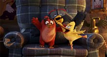 The Angry Birds Movie Photo 28