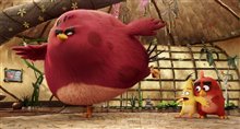 The Angry Birds Movie Photo 30